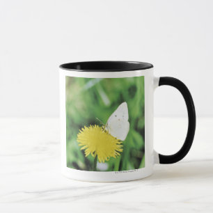 Caneca Borboleta branca que alimenta em um dente-de-leão