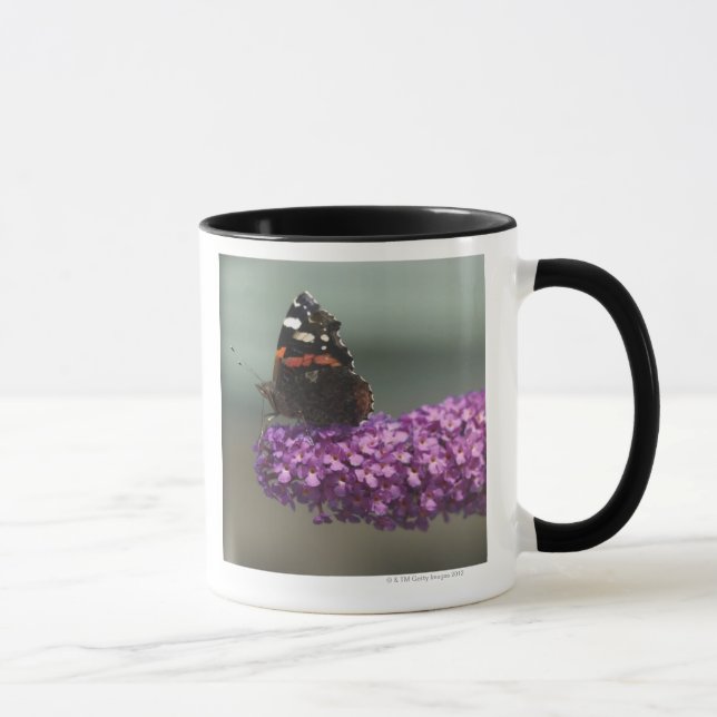 Caneca Borboleta de pavão na flor (Direita)