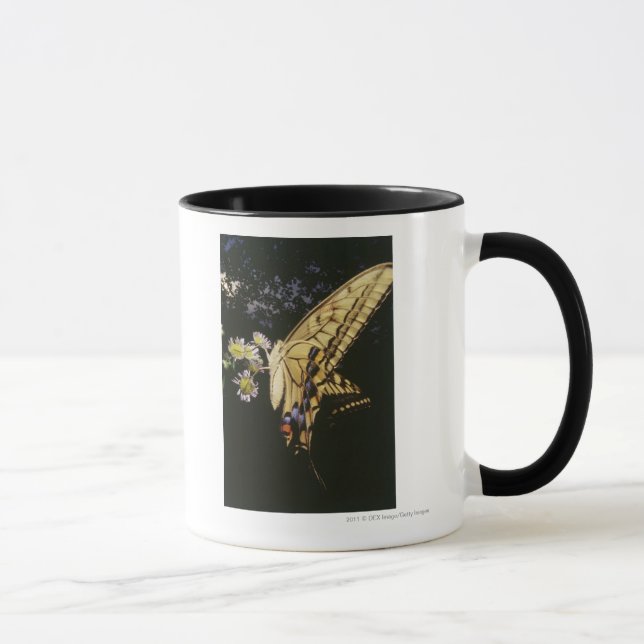 Caneca Borboleta de Swallowtail na flor, fim acima (Direita)