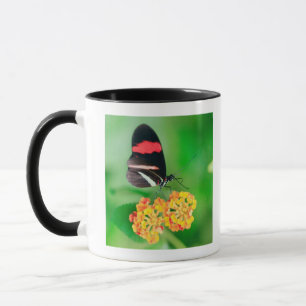 Caneca Borboleta do rosina do carteiro que recolhe o