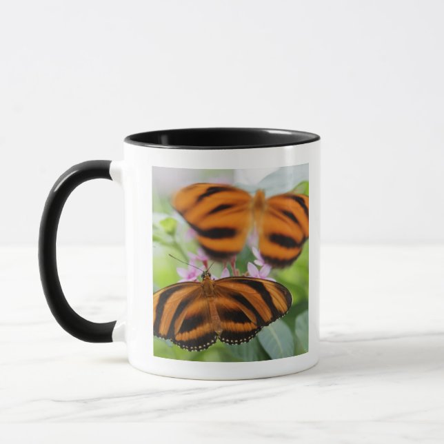 Caneca Borboleta longa 2 da asa da zebra (Esquerda)
