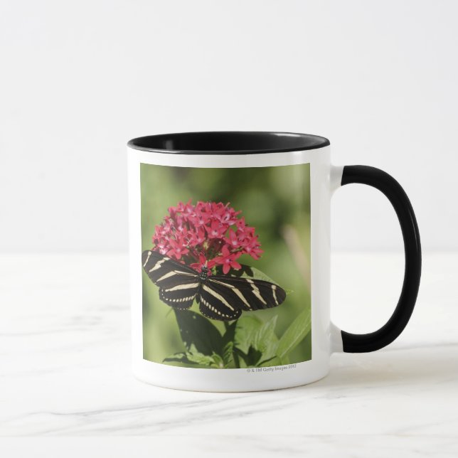 Caneca Borboleta longwing da zebra, Heliconius (Direita)