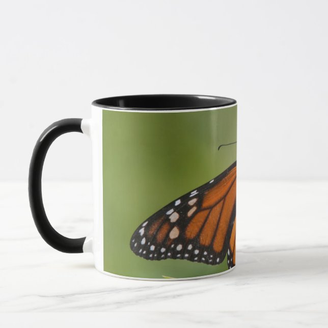 Caneca Borboleta-monarca macho em Asclepia-incarnata (Esquerda)