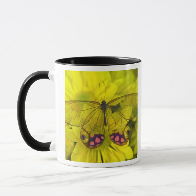 Caneca Borboleta no Amarelo (Esquerda)