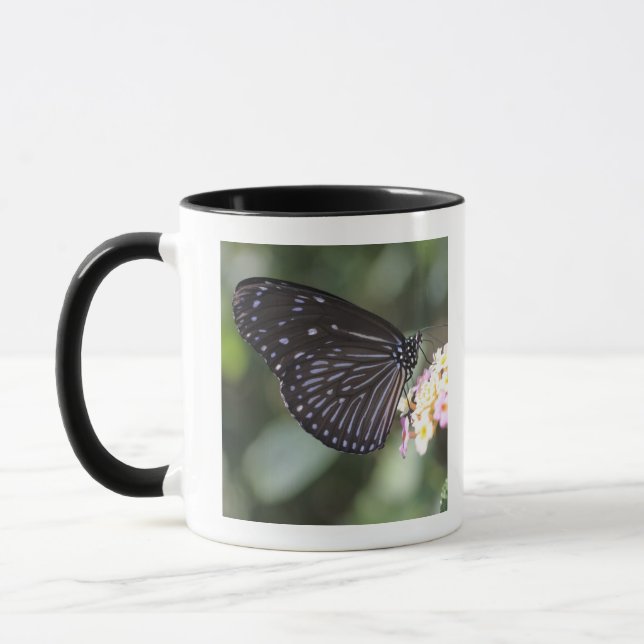 Caneca Borboleta preta e azul na flor (Esquerda)