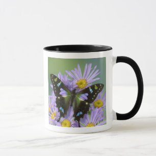 Caneca Borboleta sobre Roxo