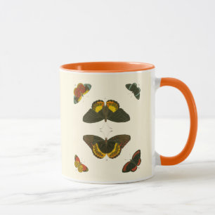 Caneca Borboletas Brilhantes por Pieter Cramer