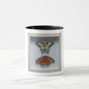 Caneca Borboletas "caneca da entomologia de um quadro"