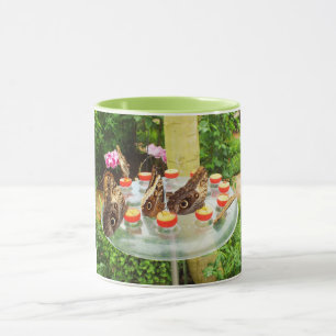 Caneca Borboletas de coruja