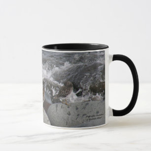Caneca Borrelho da rocha (ptilocnemis do Calidris)