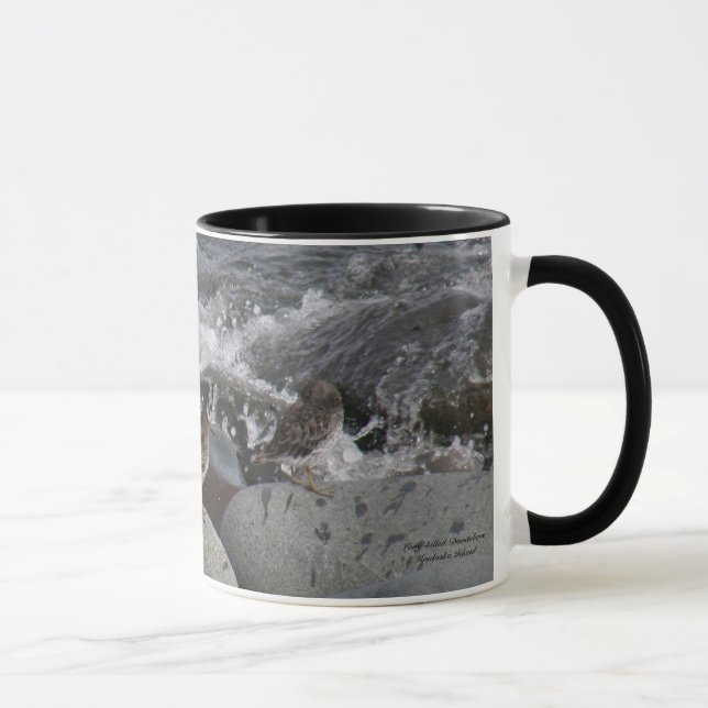 Caneca Borrelho da rocha (ptilocnemis do Calidris) (Direita)