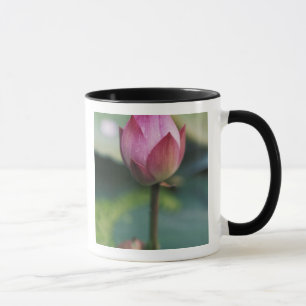 Caneca Botão de flor de lótus, Hangzhou, Província de Zhe