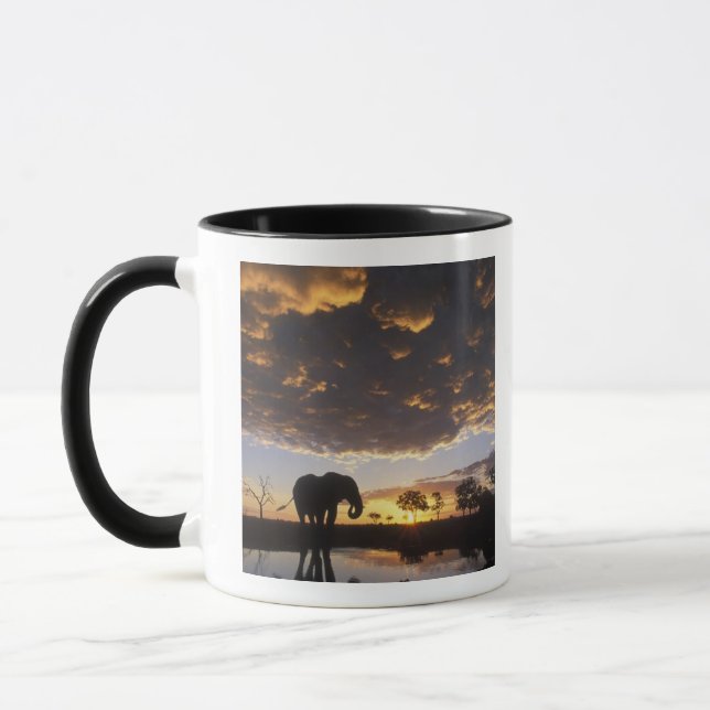 Caneca Botsuana, Parque Nacional de Chobe, Elefante (Esquerda)