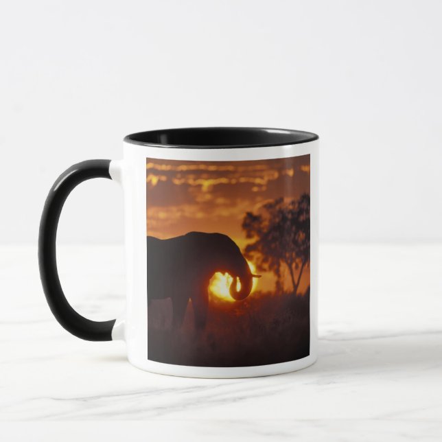 Caneca Botswana, Chobe National Park, Bull Elephant (Esquerda)