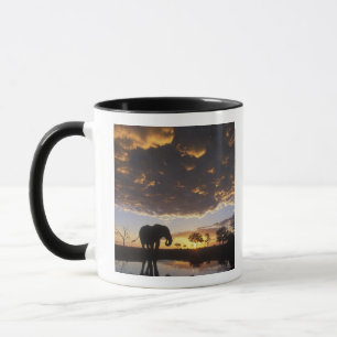 Caneca Botswana, parque nacional de Chobe, elefante