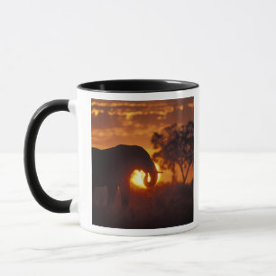 Caneca Botswana, parque nacional de Chobe, elefante de
