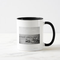 Bovinos com fotografia de alcance