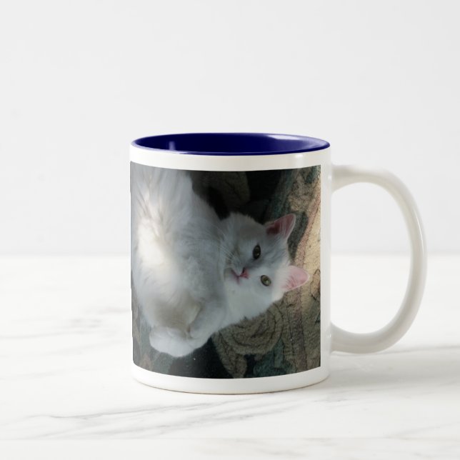 Caneca branca do gato, surpresa do gatinho (Direita)