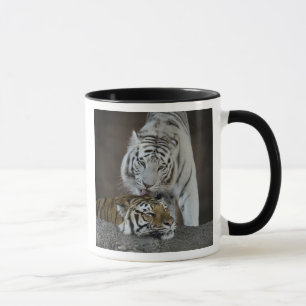 Caneca Branco e descanso dos tigres de Brown