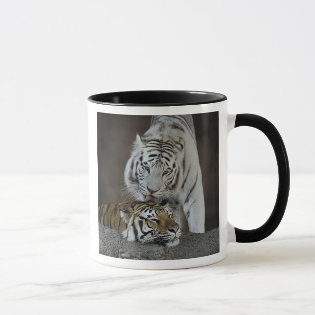 Caneca Branco e descanso dos tigres de Brown (Direita)
