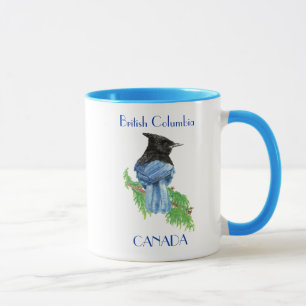 Caneca British Columbia Canada Stellar Jay, Bird, Nature