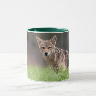 Caneca Brown Coyote, Fotografia Animal Canadense