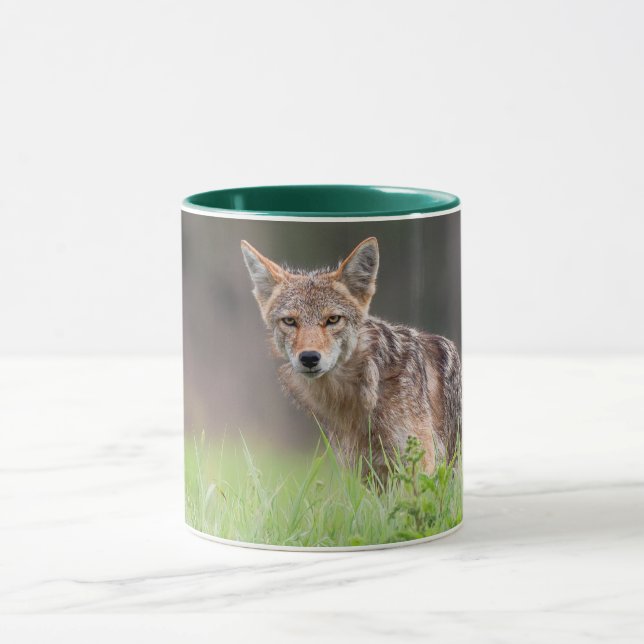 Caneca Brown Coyote, Fotografia Animal Canadense (Centro)