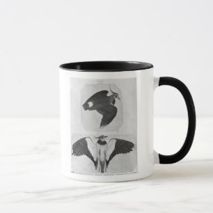 Caneca Budgerigars, o do álbum de Vallardi