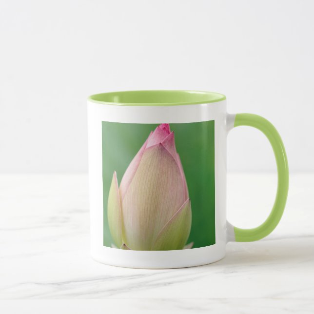 Caneca Bulbo de Nenúfar Fechado, Jardim Botânico de Durba (Direita)