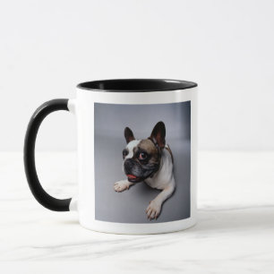 Caneca Buldogue francês