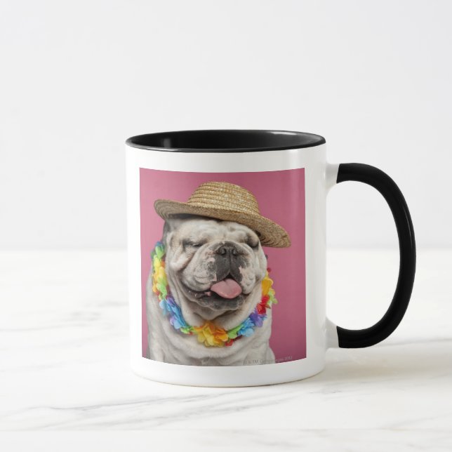 Caneca Buldogue inglês (18 meses velho) que veste uma (Direita)