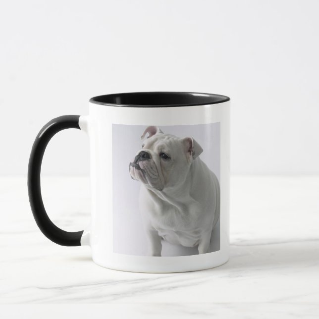 Caneca Buldogue inglês branco que senta-se no estúdio, (Esquerda)