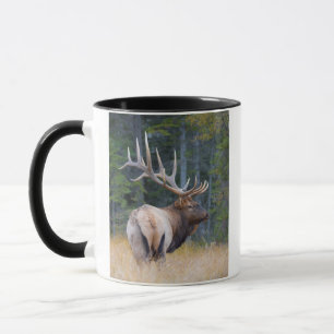 Caneca Bull Rocky Mountain Elk