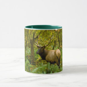 Caneca Bull Roosevelt Elk