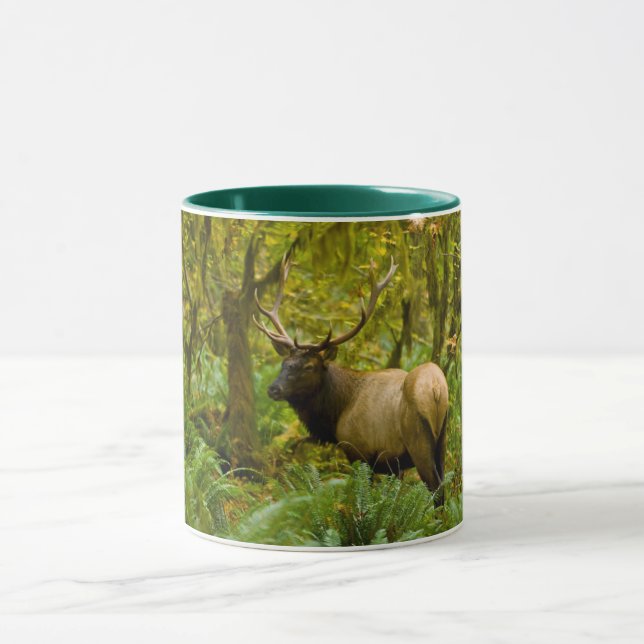 Caneca Bull Roosevelt Elk (Centro)