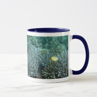 Caneca Butterflyfish das percas (lunulatus de Chaetodon)