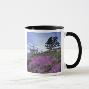 Caneca CA, Crescent City, farol de Battery Point com