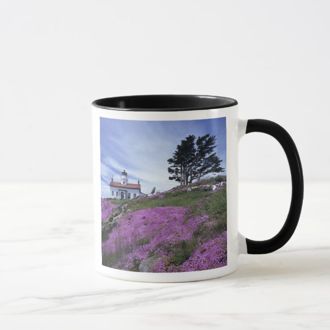 Caneca CA, Crescent City, farol de Battery Point com (Direita)