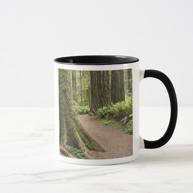 Caneca CA, Jedediah Smith State Park, Simpson-Reed (Direita)