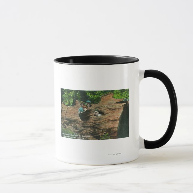 Caneca Cabeças expostas em nós de Sequoias Vermelhas Giga (Direita)