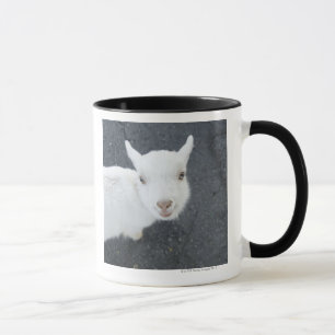 Caneca Cabra nova