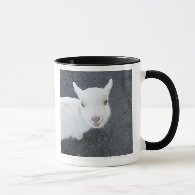 Caneca Cabra nova (Direita)