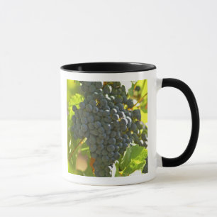 Caneca cacho de uva Cabernet Sauvignon no Chateau
