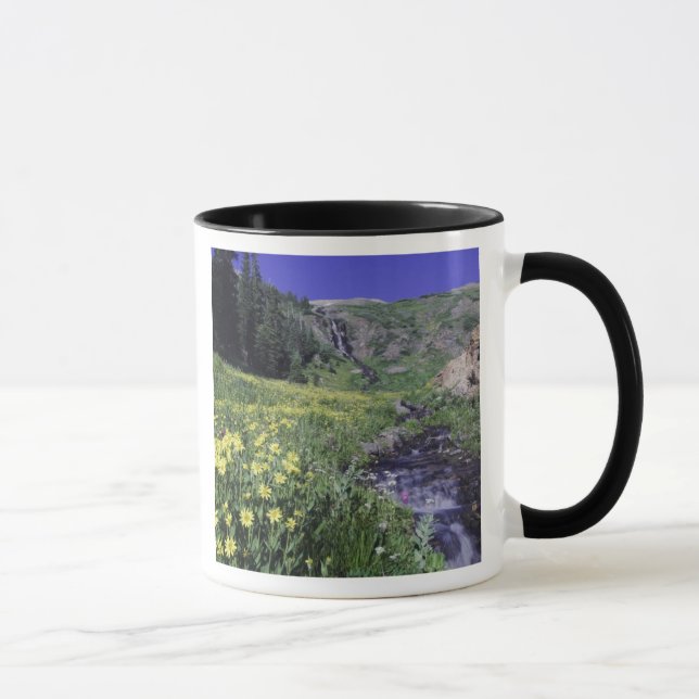 Caneca Cachoeira e flores silvestres em prado alpino, 2 (Direita)
