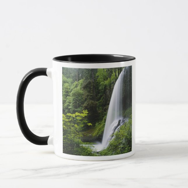 Caneca Cachoeira Middle North, Parque Estadual Silver Fal (Esquerda)
