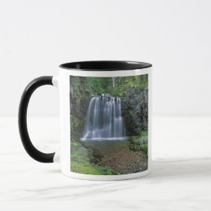 Caneca Cachoeira Rockwell no Vale de Two Medicine em