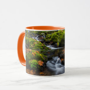 Caneca Cachoeira Starvation Creek   Desfiladeiro do Colum