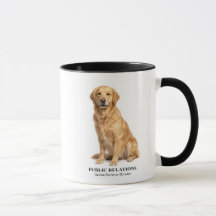 Cachorro de Relações Públicas Golden Retriever