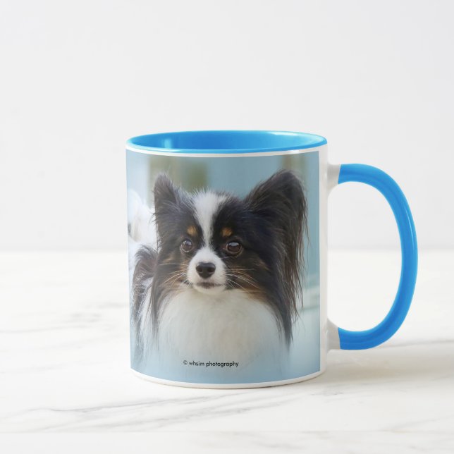 Caneca Cachorro Espanhol de Papillon Bonito na Boca (Direita)