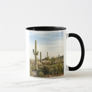 Caneca Cacto do Saguaro, arizona, EUA